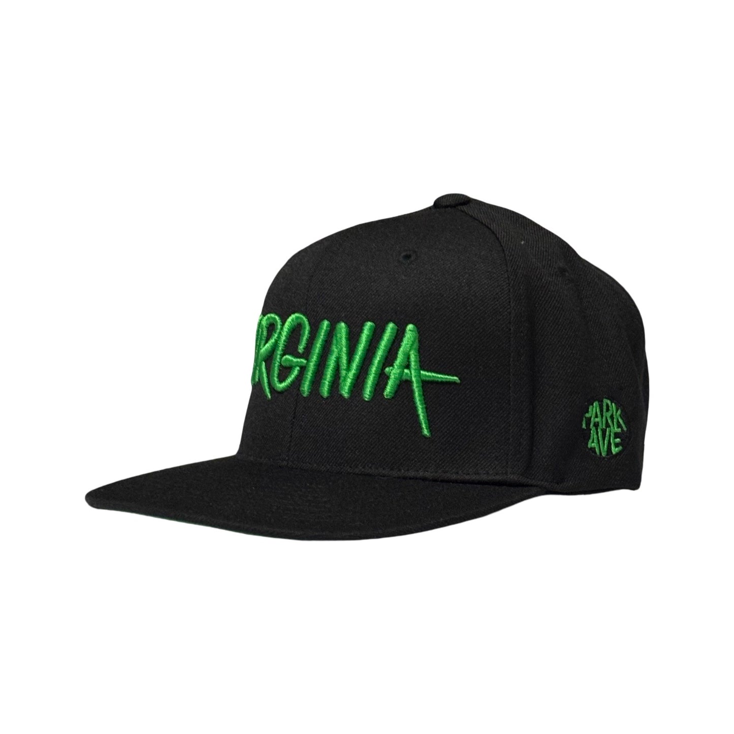 Virginia Snapback - Back/Green