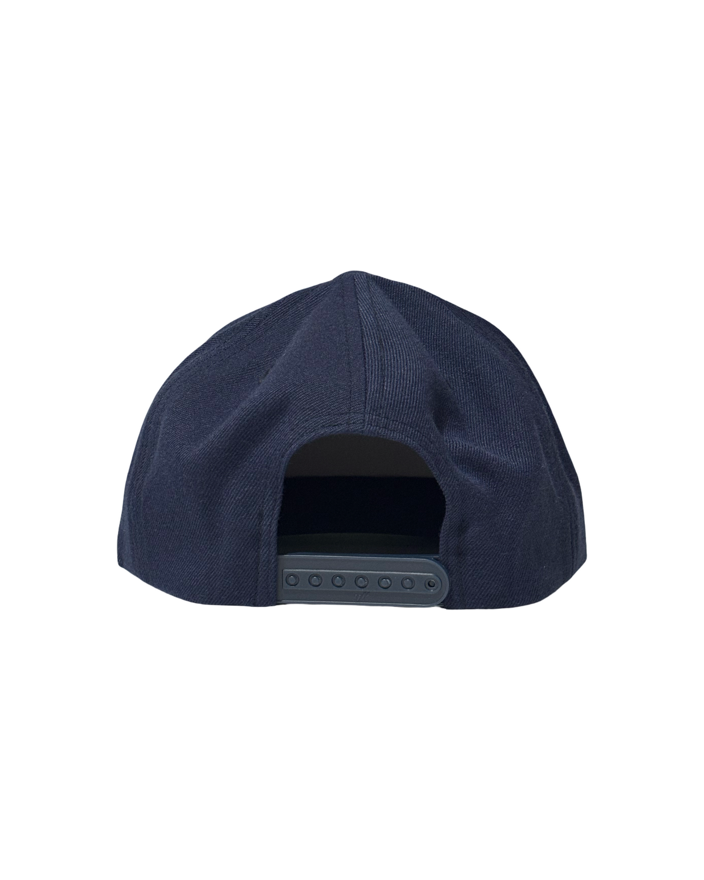 VIRGINIA SNAPBACK