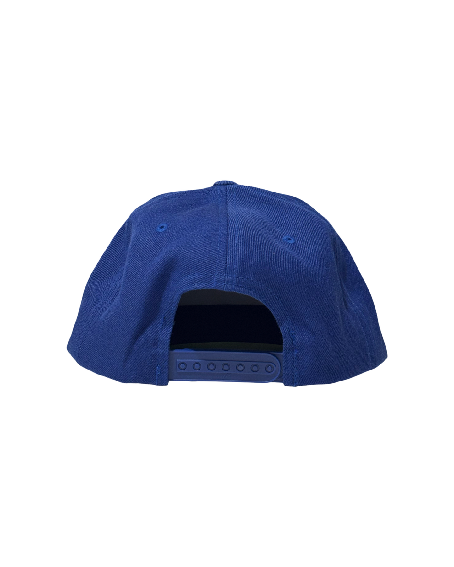 VIRGINIA SNAPBACK