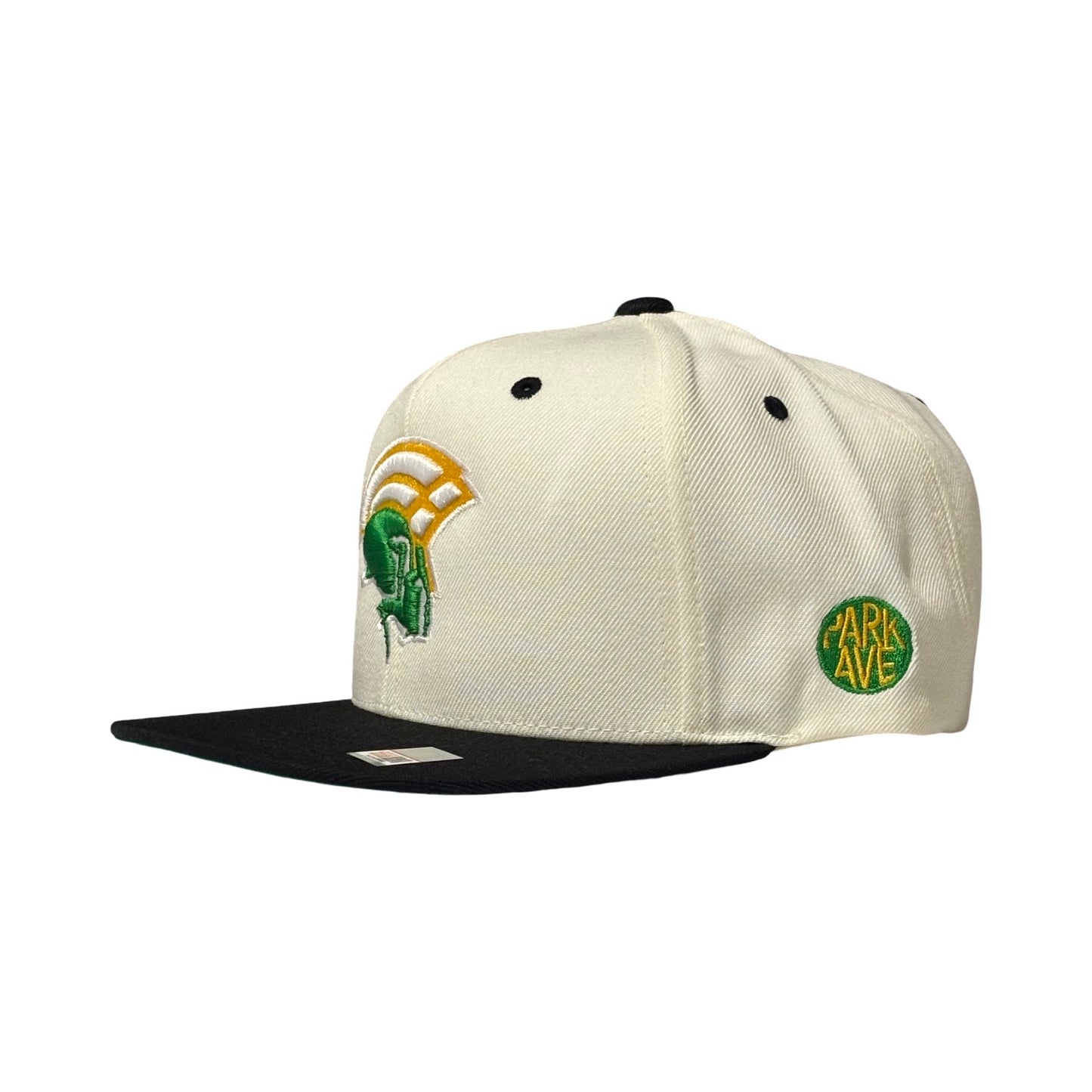Spartan Legacy 35 SnapBack