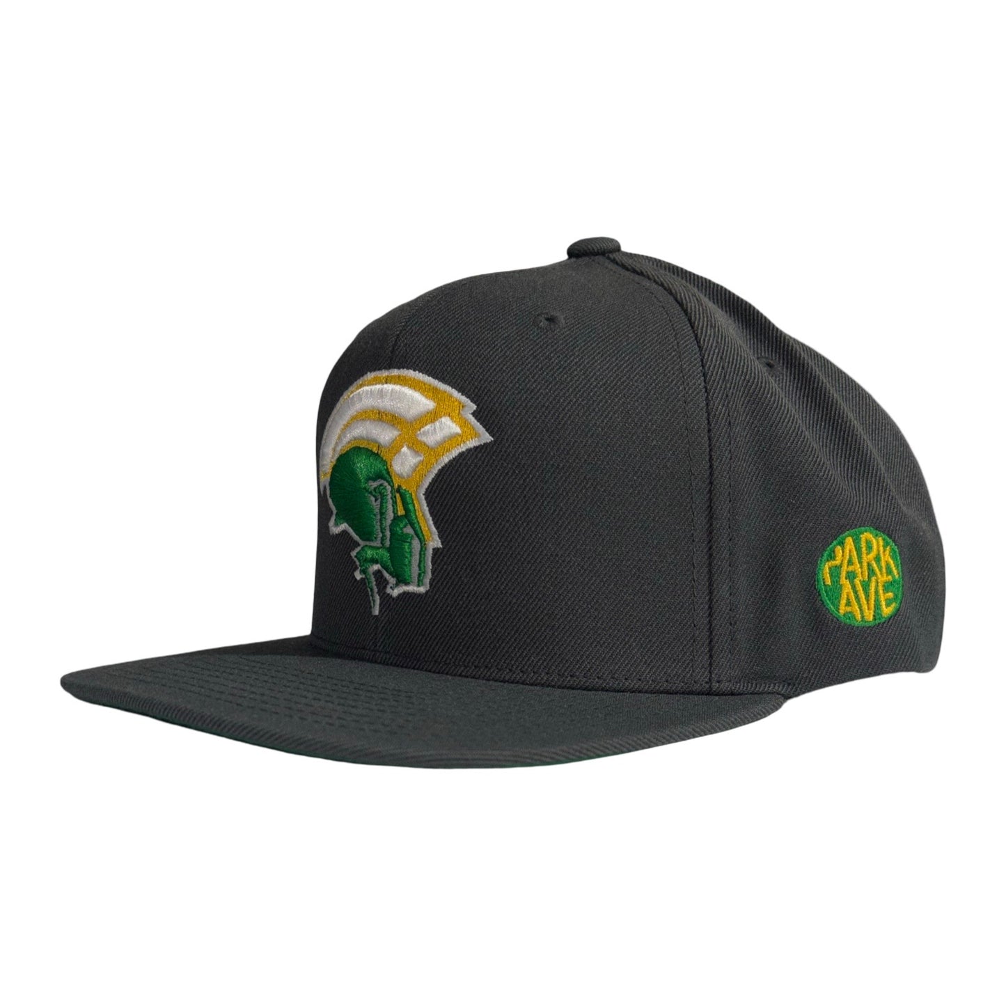Spartan ‘35 SnapBack