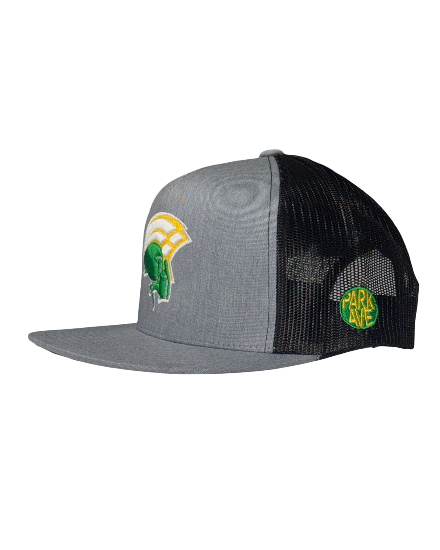 Spartan Mesh SnapBack