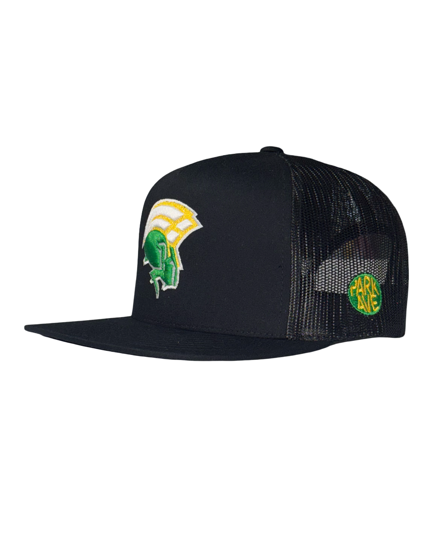 Spartan Mesh SnapBack