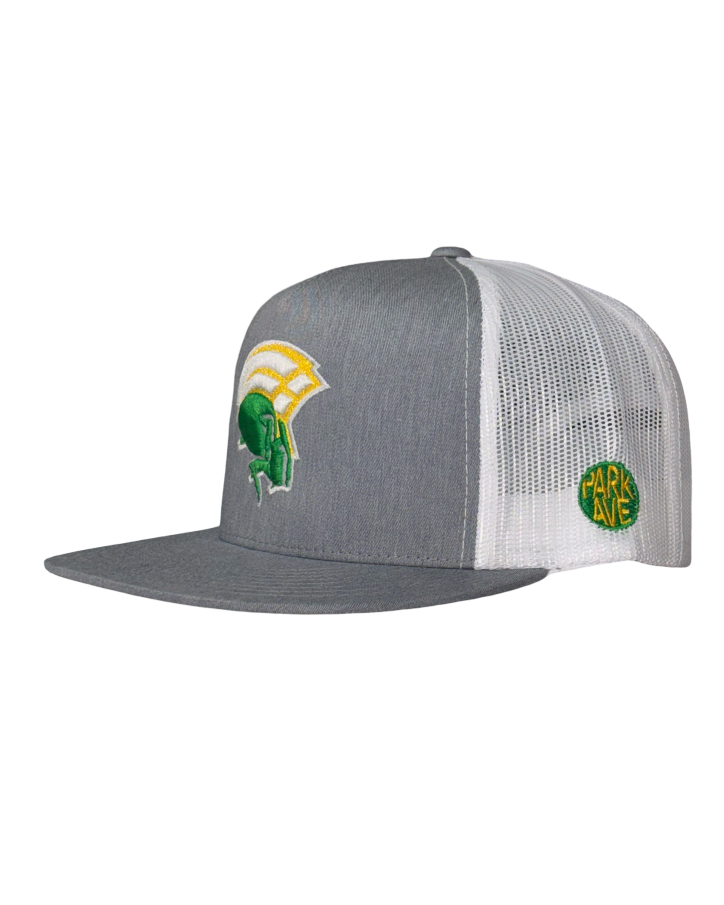 Spartan Mesh SnapBack