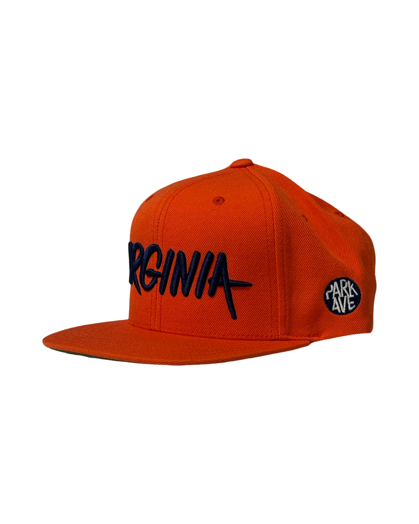 VIRGINIA SNAPBACK