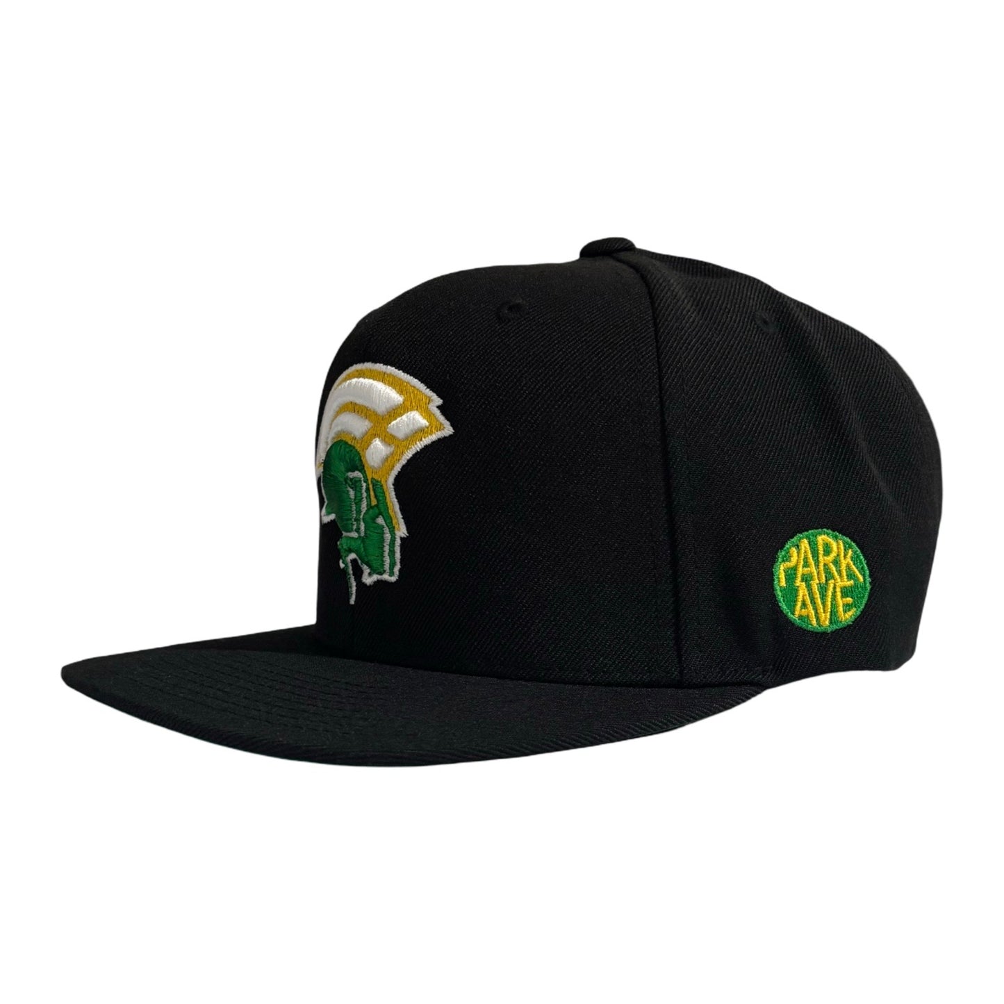 Spartan Legacy 35 SnapBack