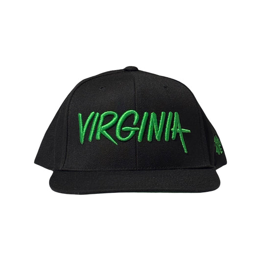 Virginia Snapback - Back/Green