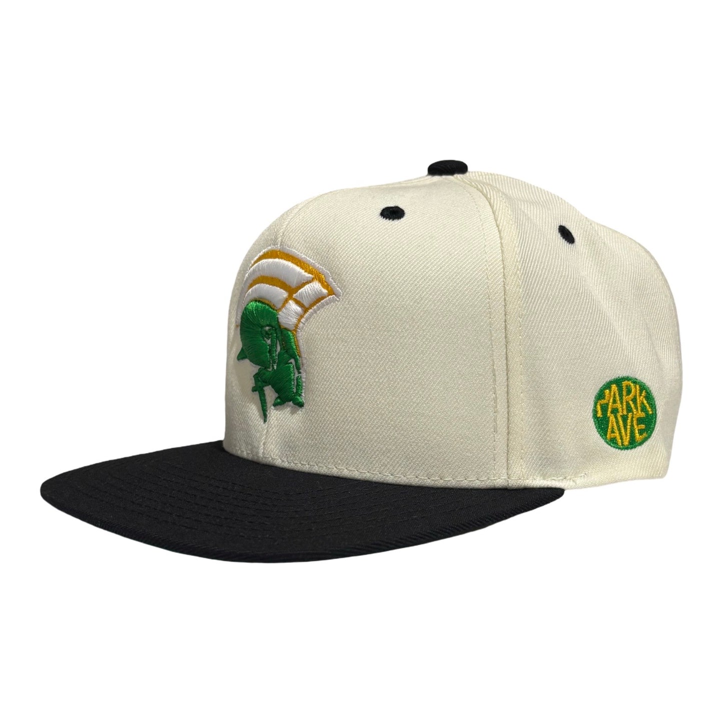 Spartan Legacy 35 SnapBack