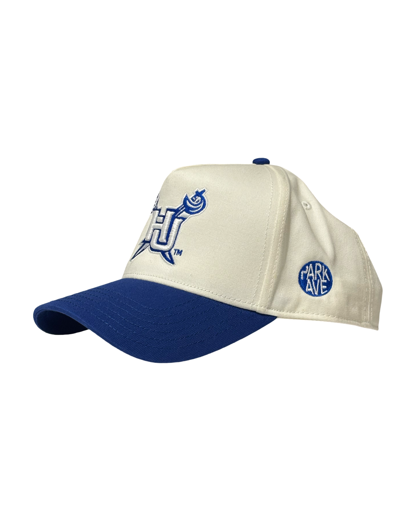 HU GAME DAY CAP