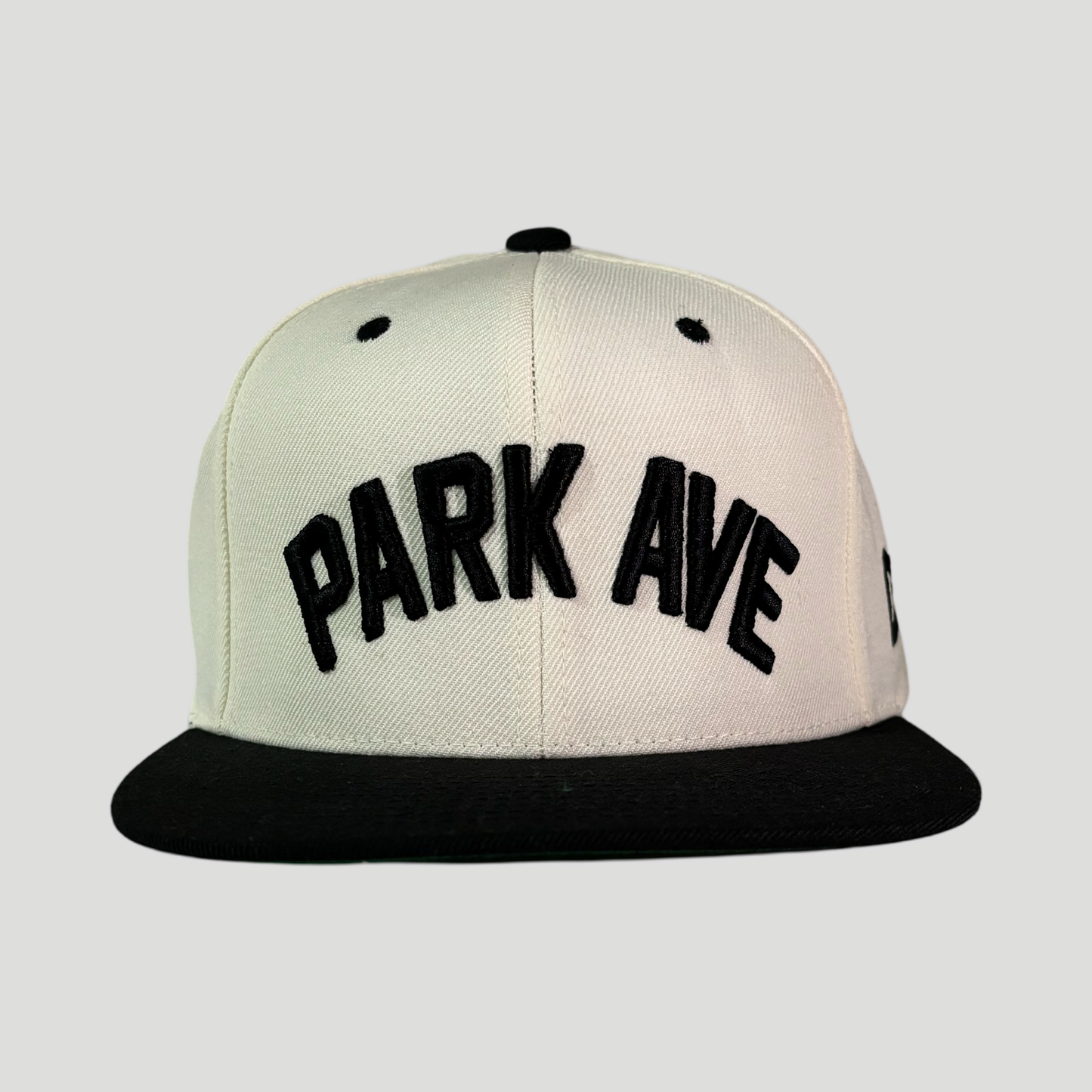 PARK AVE SNAPBACK