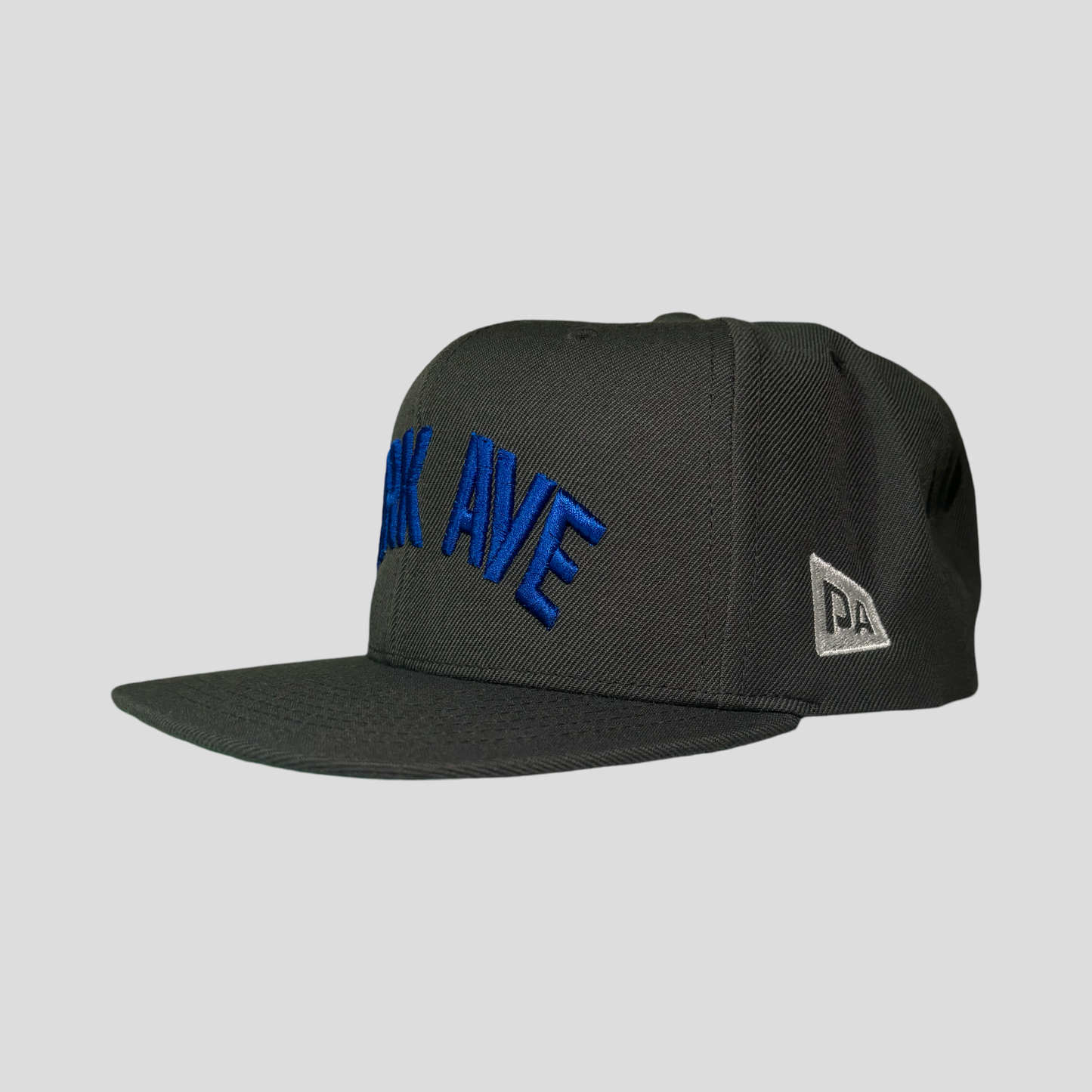 PARK AVE SNAPBACK