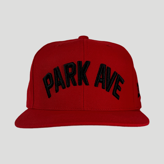 PARK AVE SNAPBACK