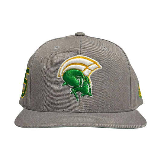 Norfolk State Spartans Legacy 35 Snapback