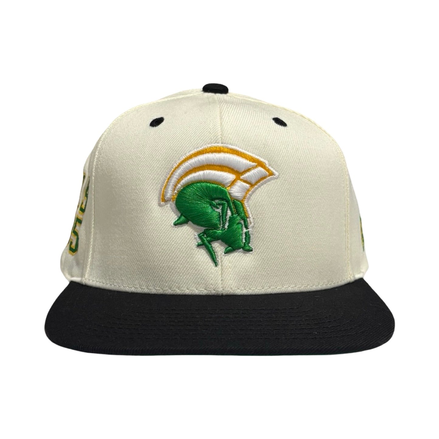 Spartan Legacy 35 SnapBack