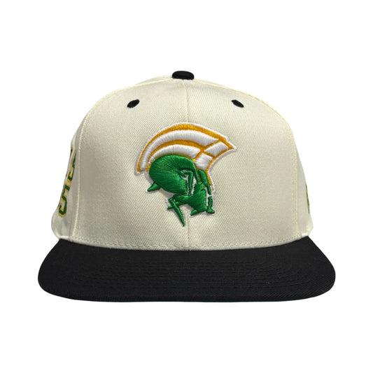 Spartan Legacy 35 SnapBack