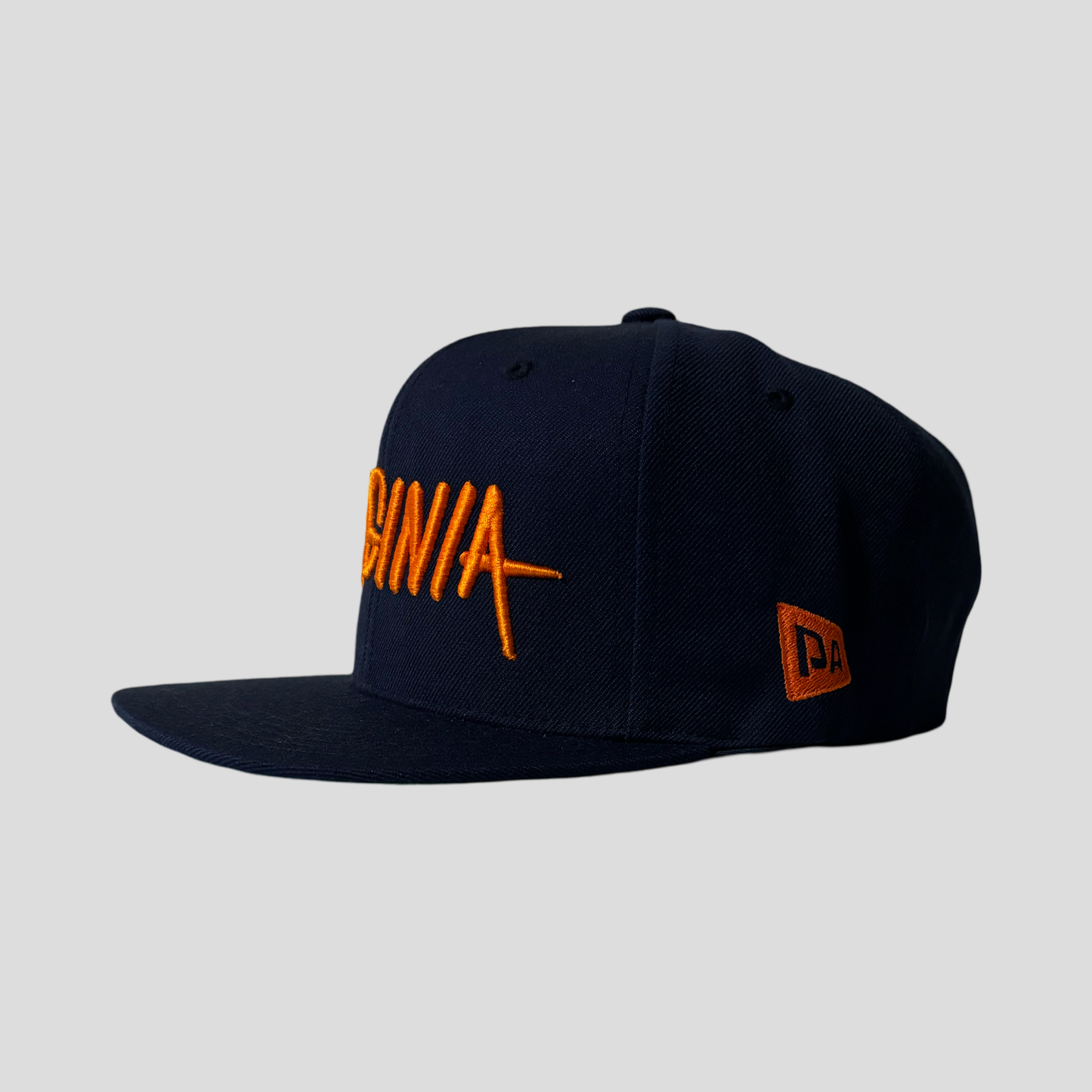 VIRGINIA SNAPBACK