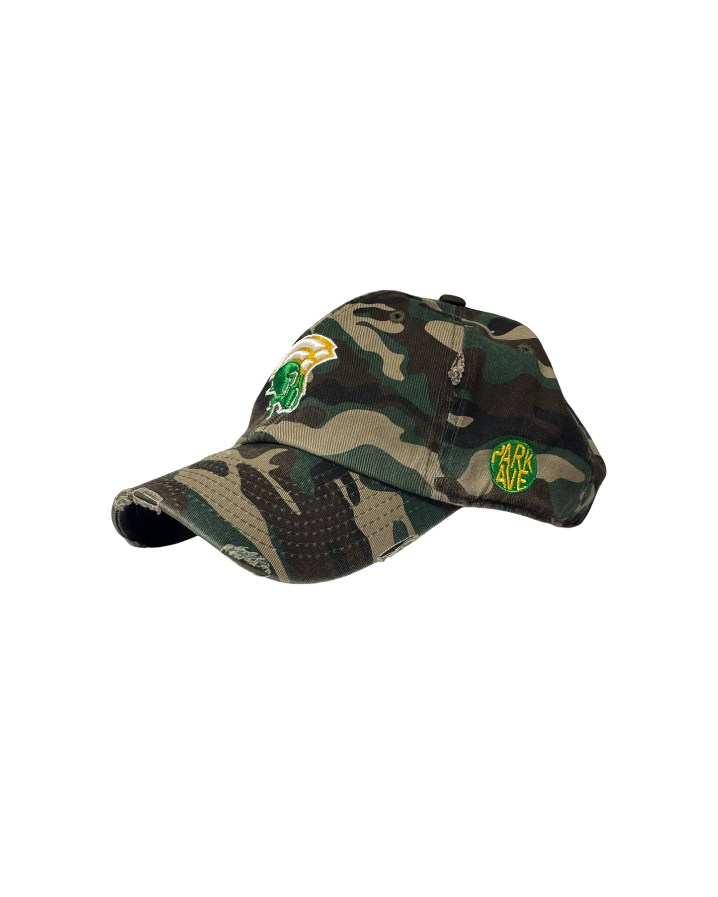 NSU Spartan Camo Dad Hat