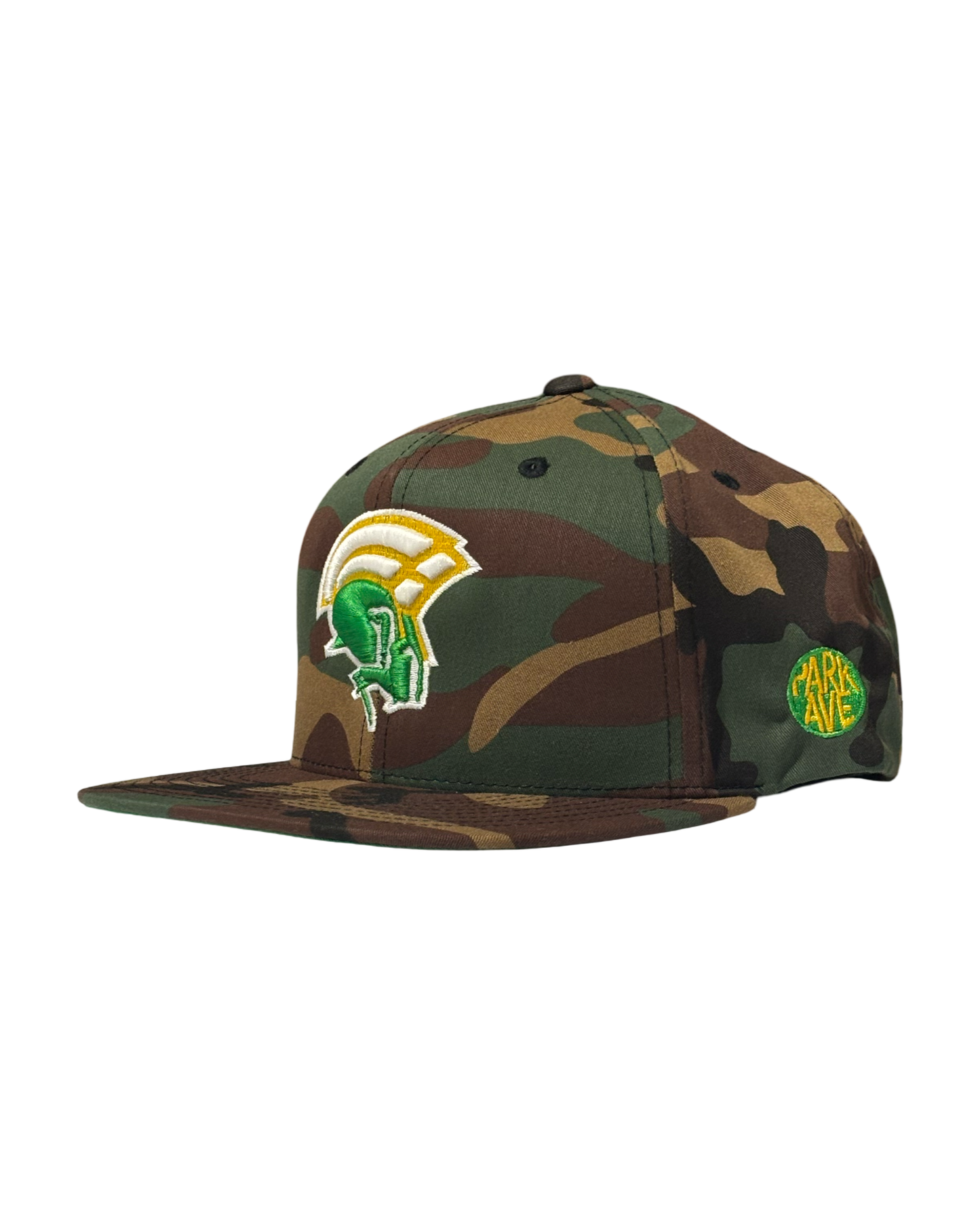 Spartan Camo SnapBack