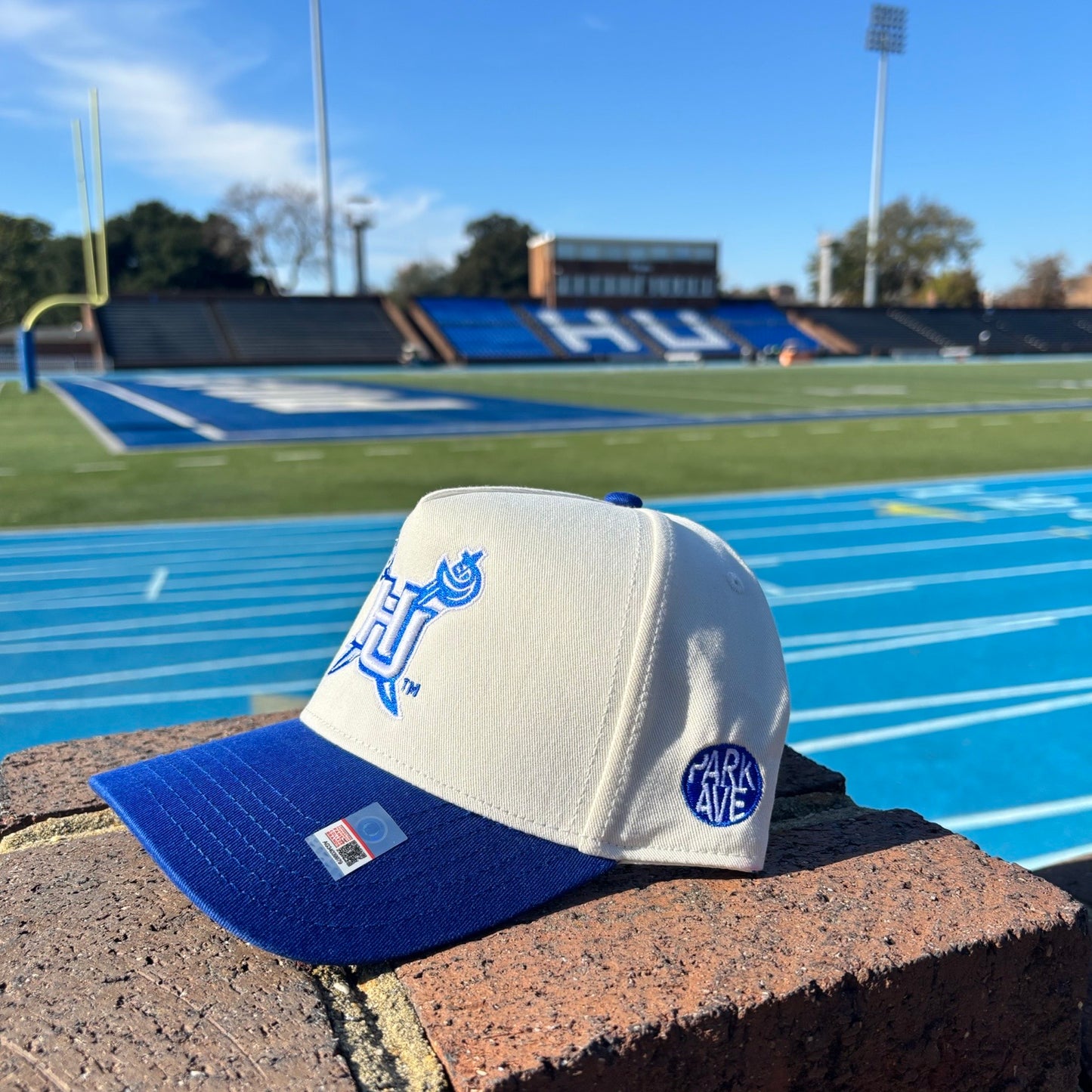 HU GAME DAY CAP
